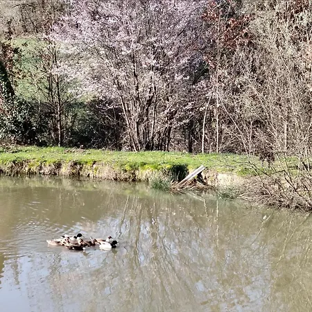 Le Val Aux Oiseaux - Piscine Privee Σπίτι διακοπών Maurens (Dordogne)